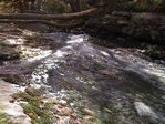 tn_DSC00119.JPG